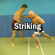 Striking - Ground and Standing