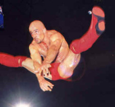About Bas | Bas Rutten Instructionals