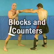 Blocks and Counters for Punches and Kicks