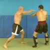 Blocks and Counters for Punches and Kicks