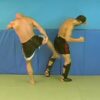 Blocks and Counters for Punches and Kicks - Image 3