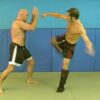 Blocks and Counters for Punches and Kicks - Image 4