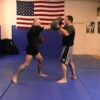 Bas Rutten MMA Workout