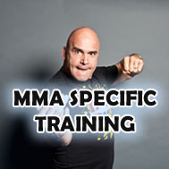 MMA Specific Training