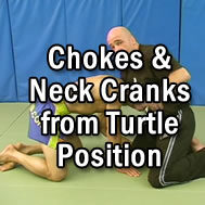 Chokes & Neck Cranks from when he's in Turtle Position